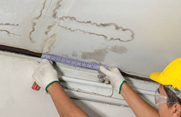 24/7 Emergency Burst Pipe Cleanup experts in Vernon, MI