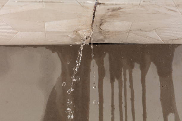 Professional Burst Pipe Cleanup technician working in Vernon, MI